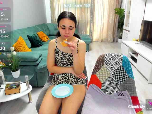 EveeEvian webcam
