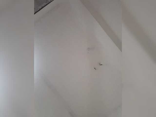 Hornyebonys