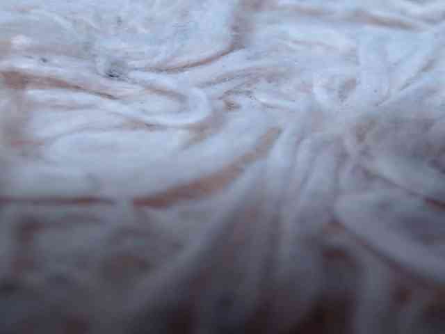 -MAlVINKA- -MAlVINKA-