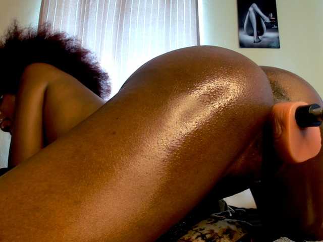 Candbody's BongaCams show and profile