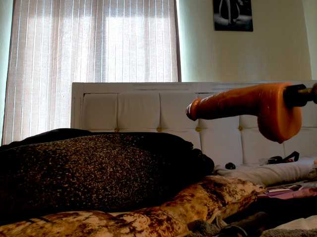 Candbody's BongaCams show and profile