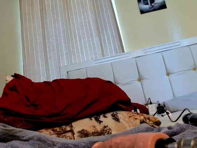 Candbody webcam