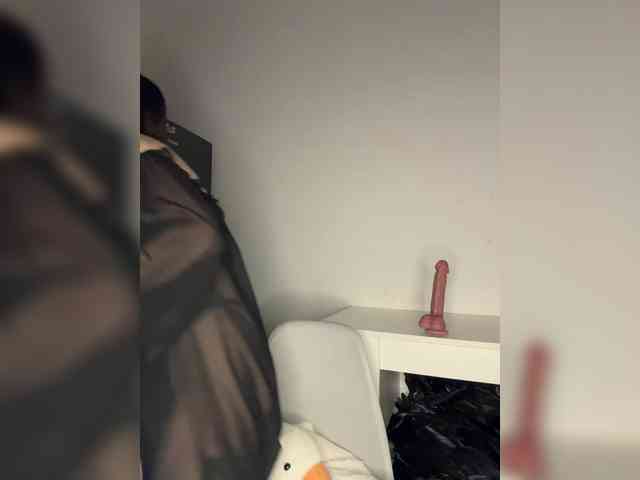 Akadori webcam