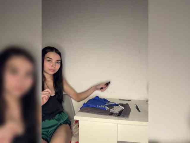 Akadori webcam