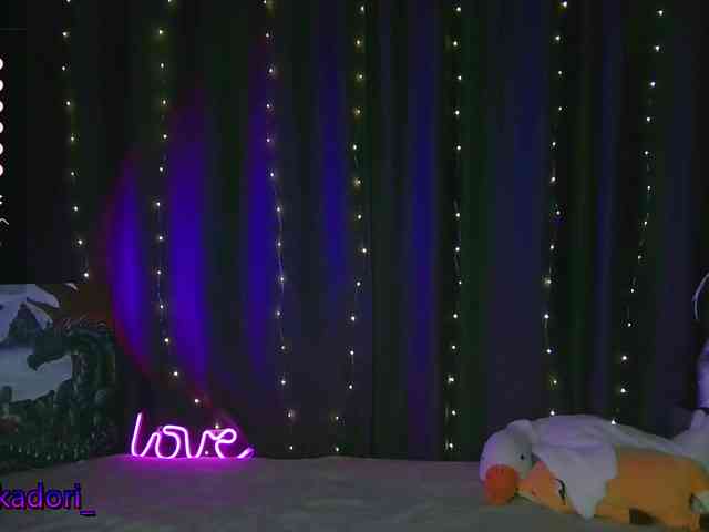 Akadori webcam