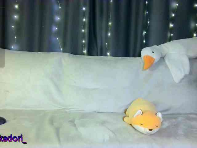 Akadori webcam