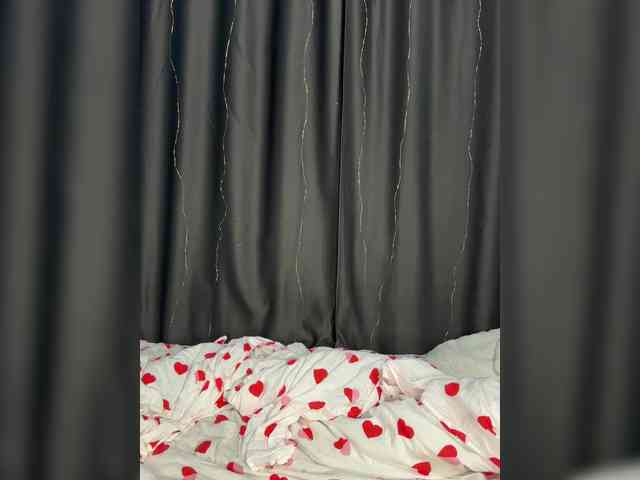 Akadori webcam