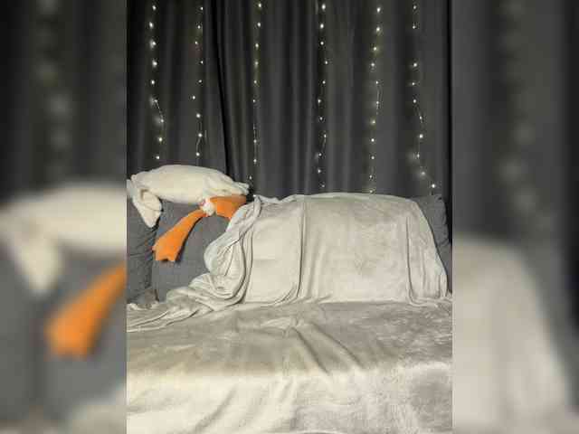 Akadori webcam