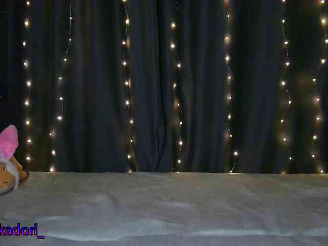 Akadori webcam