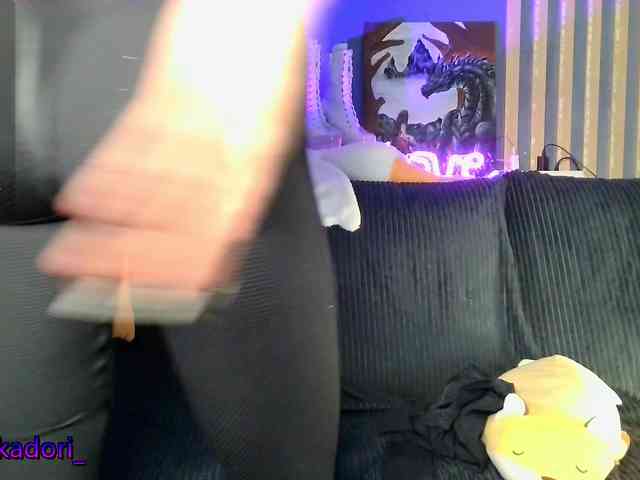 Akadori webcam