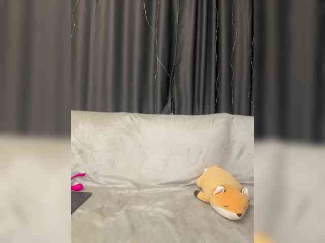 Akadori webcam