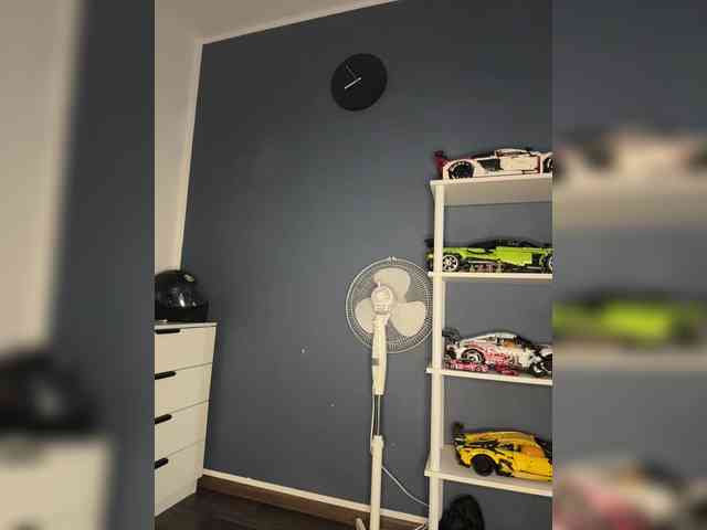 Akadori webcam
