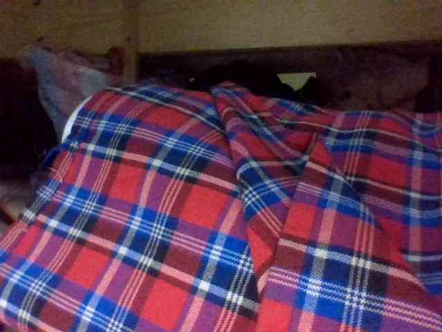 Blackbeuty webcam