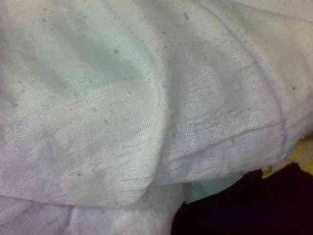 Blackbeuty webcam