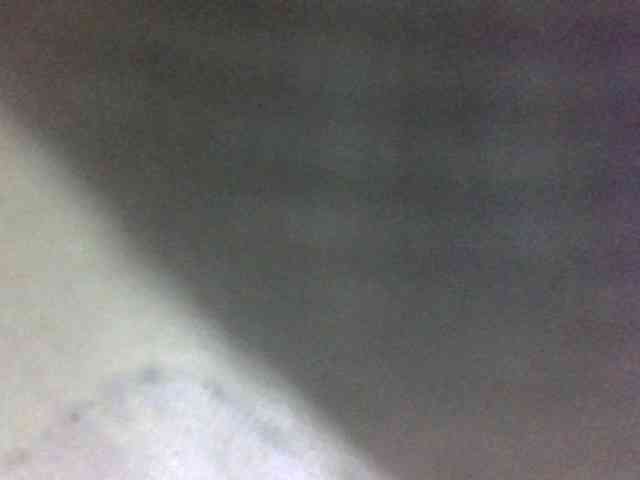Blackbeuty webcam