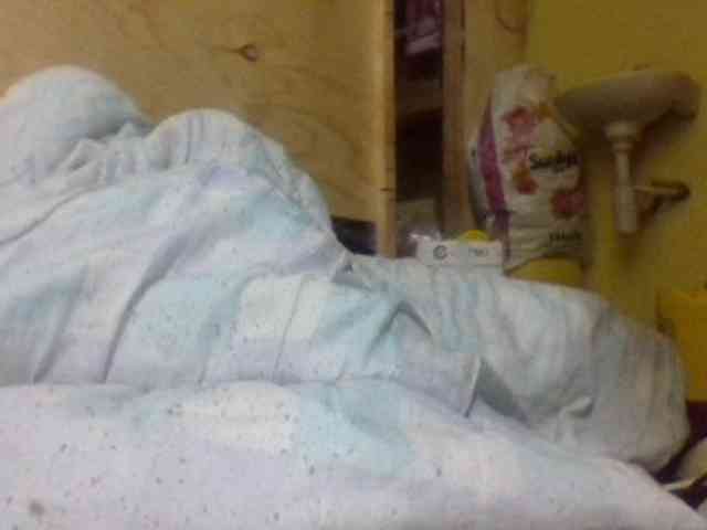 Blackbeuty webcam