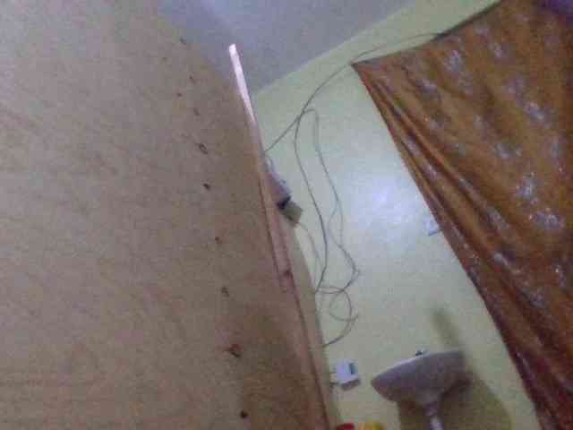 Blackbeuty webcam
