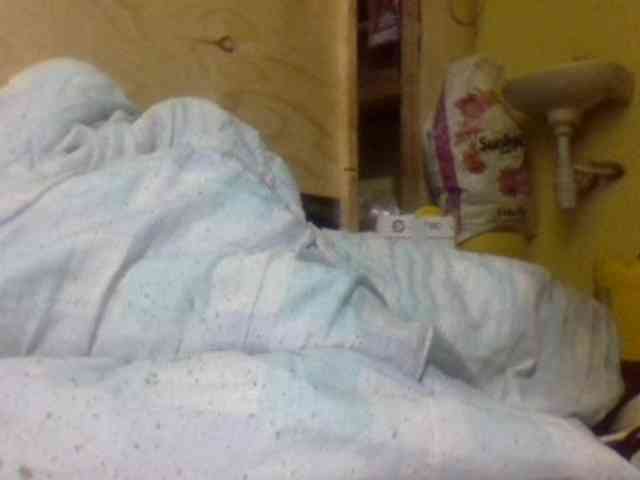 Blackbeuty webcam