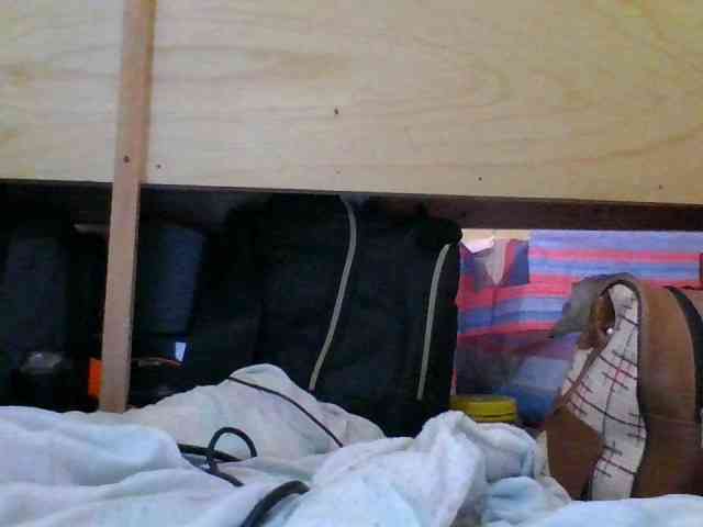 Blackbeuty webcam