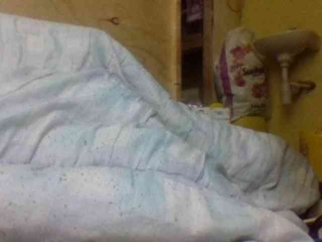 Blackbeuty webcam