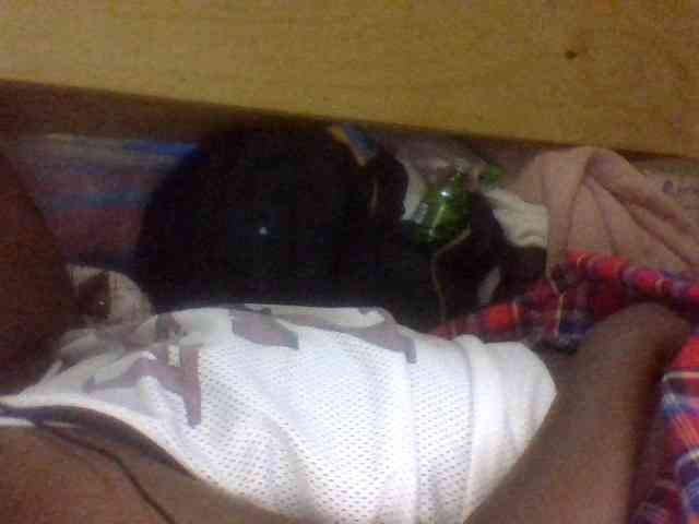 Blackbeuty webcam