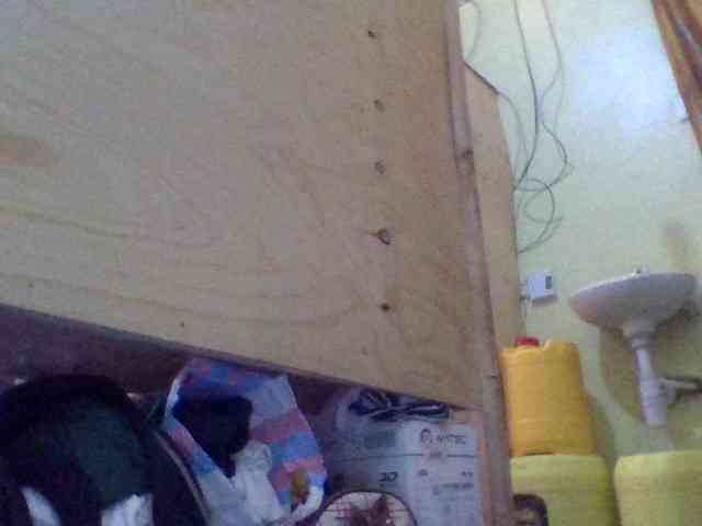 Blackbeuty webcam