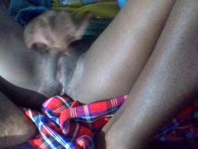 Blackbeuty webcam