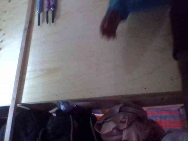 Blackbeuty webcam
