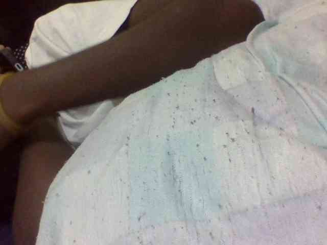Blackbeuty webcam