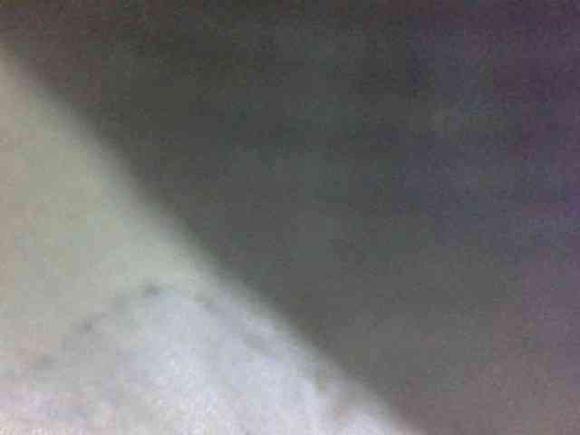 Blackbeuty webcam