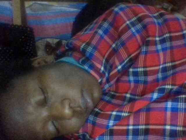Blackbeuty webcam