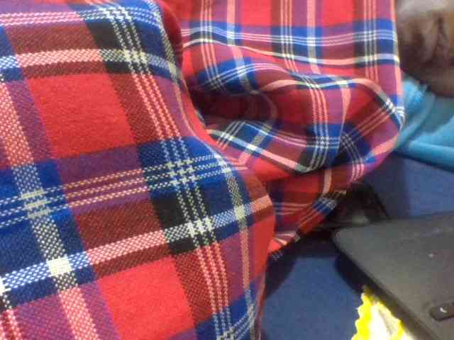 Blackbeuty webcam