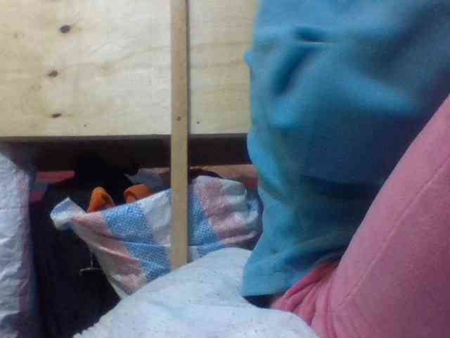 Blackbeuty webcam