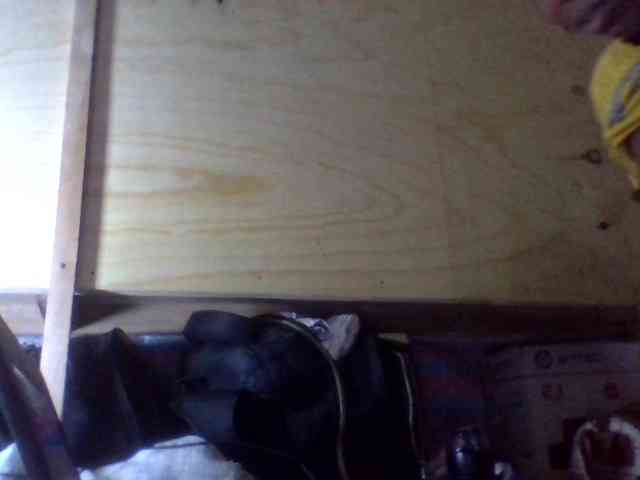 Blackbeuty webcam