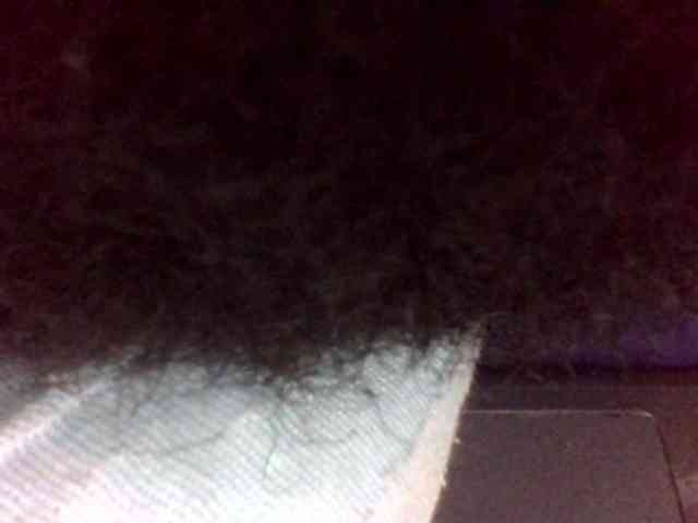 Blackbeuty webcam