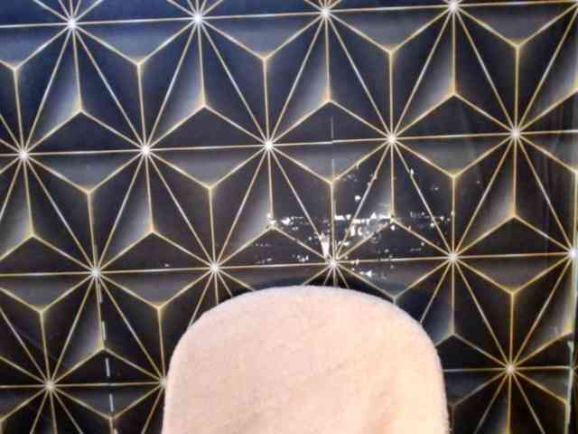 Palomaganda2107 Live Webcam on BongaCams