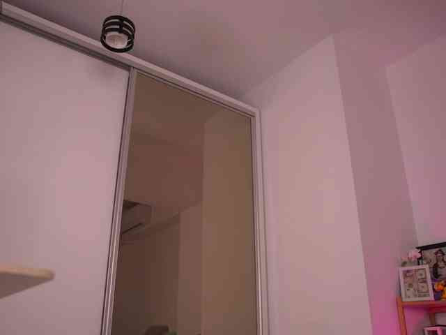 MonaLisss webcam