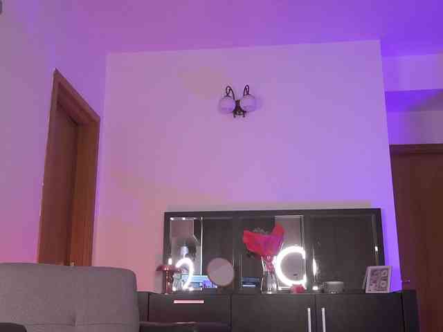 MonaLisss webcam