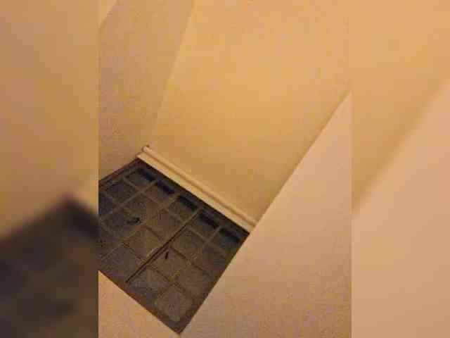 AntoniaDilune webcam