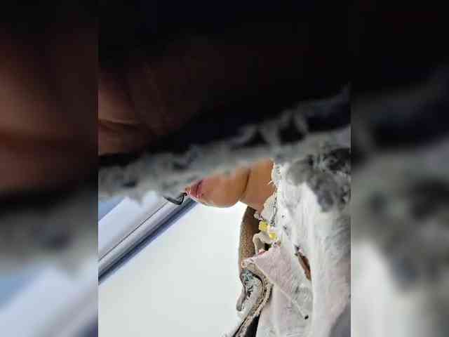 AntoniaDilune webcam