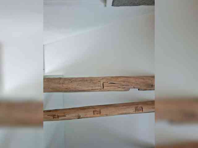 AntoniaDilune webcam