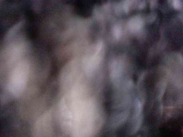 AntoniaDilune webcam