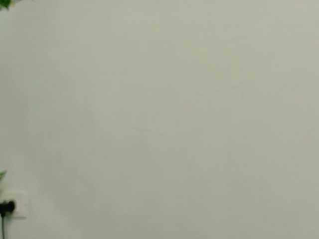 NicoleIris's BongaCams show and profile