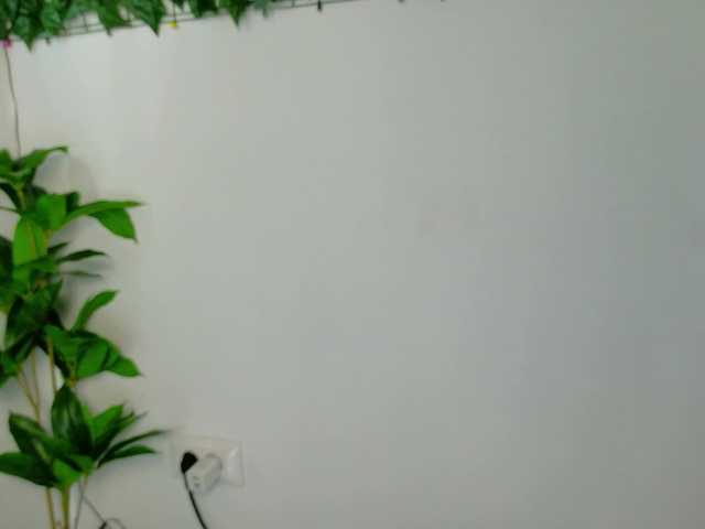 Preview of nicoleiris