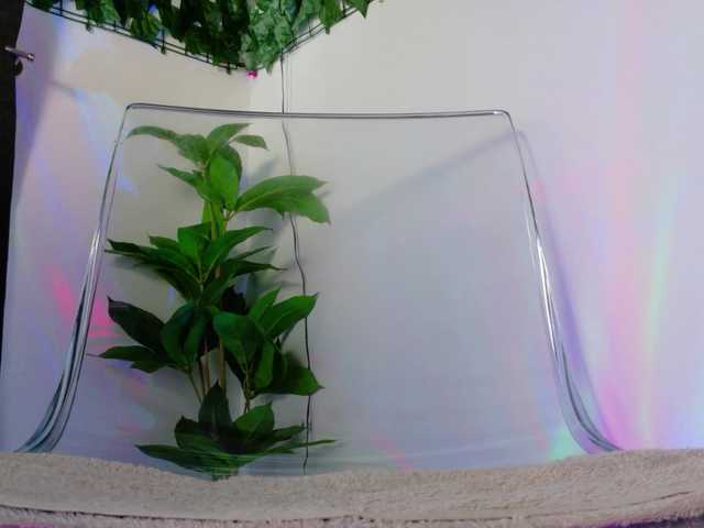 NicoleIris's BongaCams show and profile