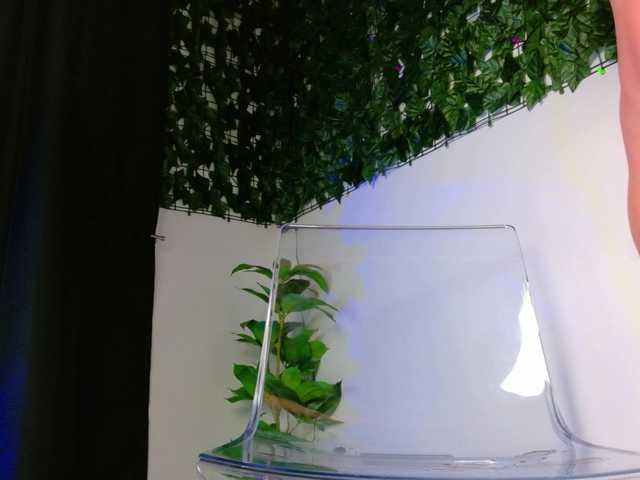 NicoleIris's BongaCams show and profile