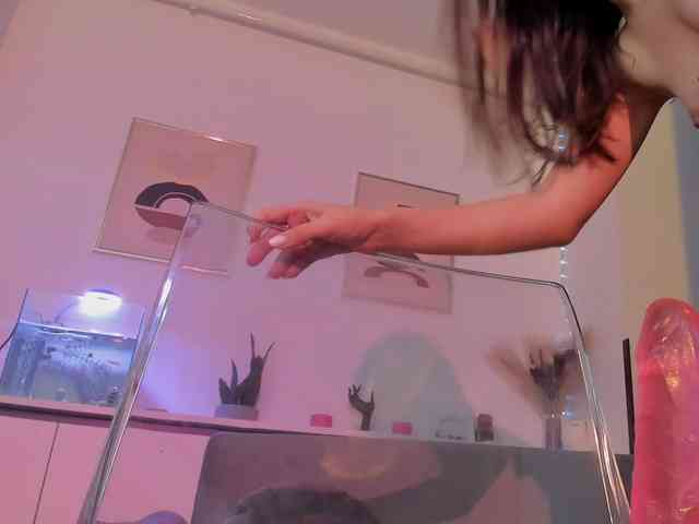 NicoleIris Live Webcam on BongaCams