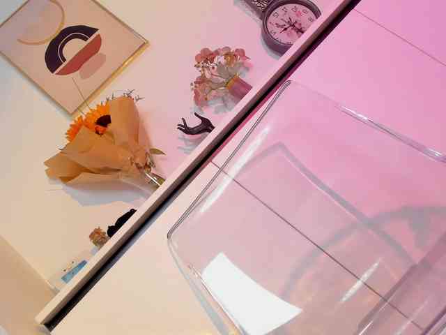 NicoleIris webcam