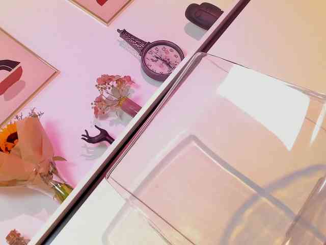 NicoleIris webcam