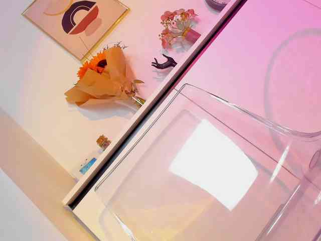 NicoleIris webcam